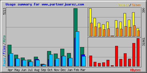 Usage summary for www.partnerjuarez.com